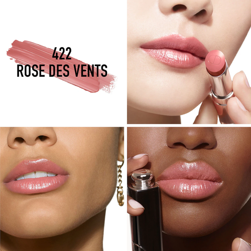 DIOR LABIAL CREMOSO / 422 ROSE DES VENTS